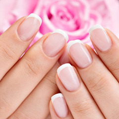 Beautiful woman's nails with french manicure  and rose