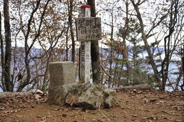 黒川山の標柱と三角点