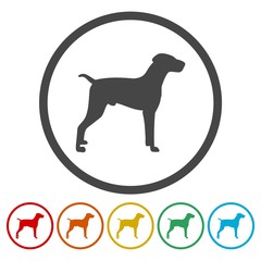 Dog sign icon. Pets symbol. Circle buttons 