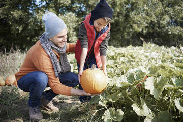Father helping son with a pumpkin.