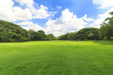 Foto op Plexiglas Green trees in beautiful park © Naypong Studio
