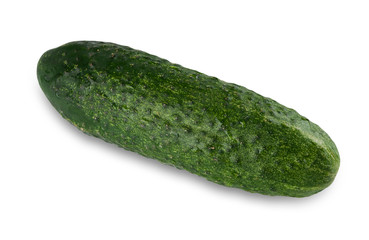 One ripe fresh green cucumber isolated on white background
