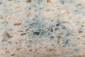 Grüner Schimmel auf Graubrot