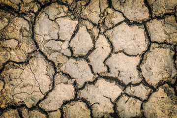 Rainless in countryside