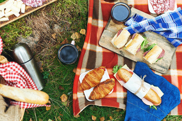 picnic at forest