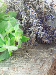fresh mint and dry lavender