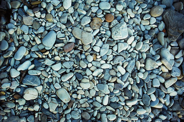 The texture of sea pebbles. Light stones to the sea, close