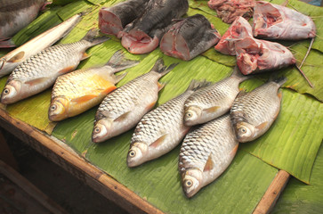 Freshly caught catfish on palm leaf in a fish market, Luang Prab