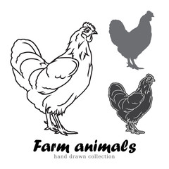 Fototapeta na wymiar Hand drawn chicken silhouette. Farm animals vector illustration.