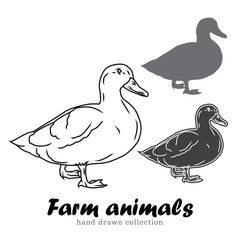 Hand drawn duck silhouette. Farm animals vector illustration. 