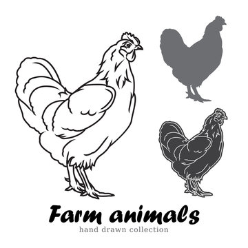 Hand drawn chicken silhouette. Farm animals vector illustration.
