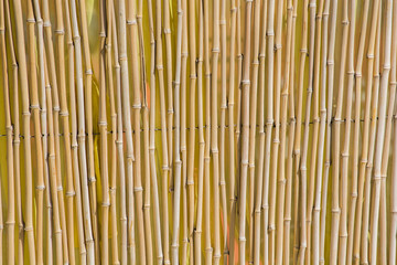 dry bamboo natural background texture