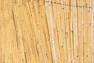 dry bamboo natural background texture