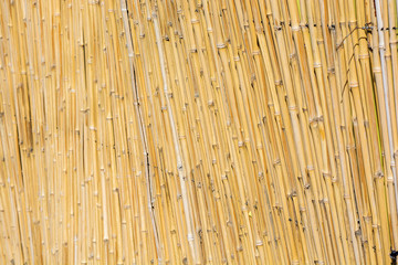 dry bamboo natural background texture