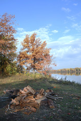 firewood