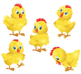 set of cute cartoon little chickens. vector illustration