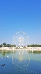 Fototapeta premium Paris, France. August 30th 2016. Les Tuileries park with the 