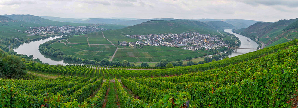 Mosel: Die Moselschleife bei Trattenheim.