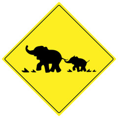 Beware elephant traffic sign. Elephant warning traffic sign. Warning traffic sign isolated on a white background. Wildlife Crossing