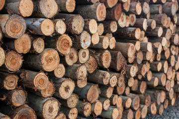 A pile of wood for construction, Shooting angle in obliquely.