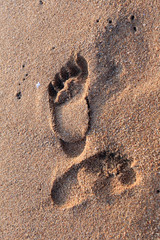 footprints in the sand