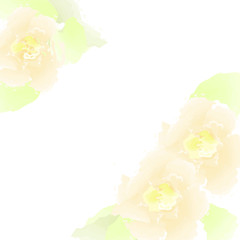 Obraz na płótnie Canvas Watercolor pastel flowers vector