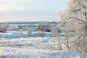 Obraz premium winter landscape
