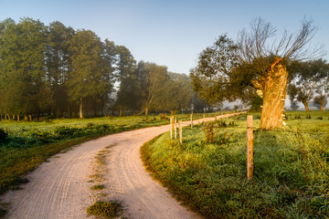Polna droga © podlaski49