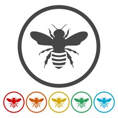 Obraz premium Bee circle buttons. Honey bees icons. 