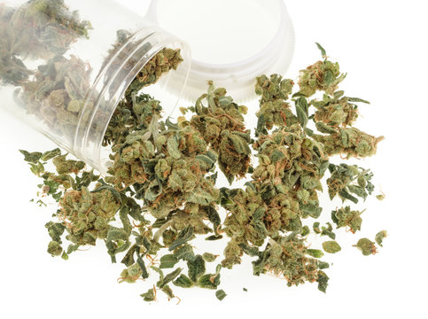 Marijuana buds isolated on white background