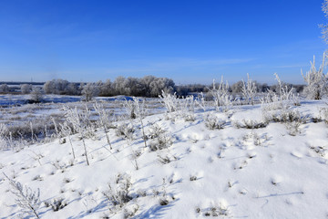 winter landscape