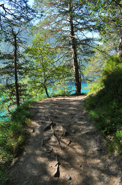 Am Millst&auml;ttersee