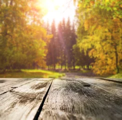 Wooden table in autumn forest at sunset