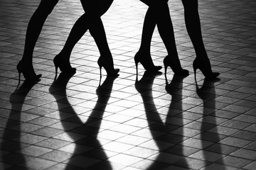 Female legs in fashionable shoes