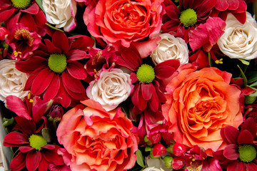 Flowers background