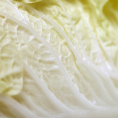 Chinese cabbage