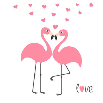 Pink flamingo couple and hearts. Word love. Exotic tropical bird. Zoo animal collection. Cute cartoon character. Greeting card. Flat design. White background Isolated