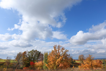 Fototapeta premium autumn landscape