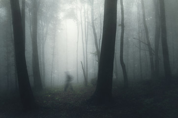 Fototapeta ghost in spooky haunted forest obraz