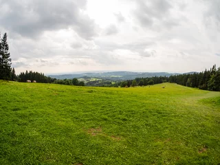 Foto op Canvas Grass and white cloudy sky, natural panorama © weruskak