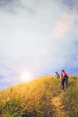 Hiker with backpack walking through a meadow on mountain, soft l