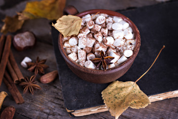 Hot cocoa with marshmallows