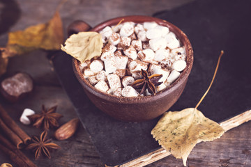 Hot cocoa with marshmallows
