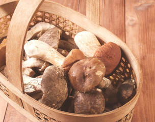 The basket with the collected mushrooms
