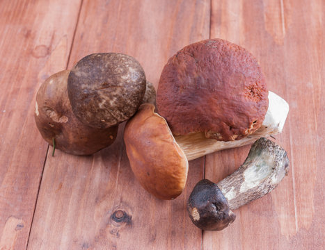 Forest mushrooms on wooden background. Autumn