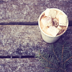 A cup of warm cocoa with marshmallows