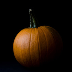 Pumpkin on black