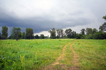 dirt road in the woods