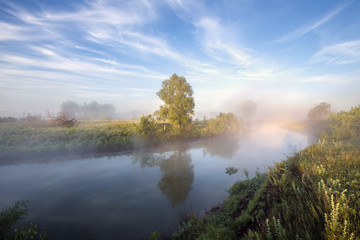 Fototapeta na wymiar fog on the river
