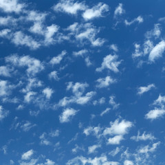 cirrus clouds